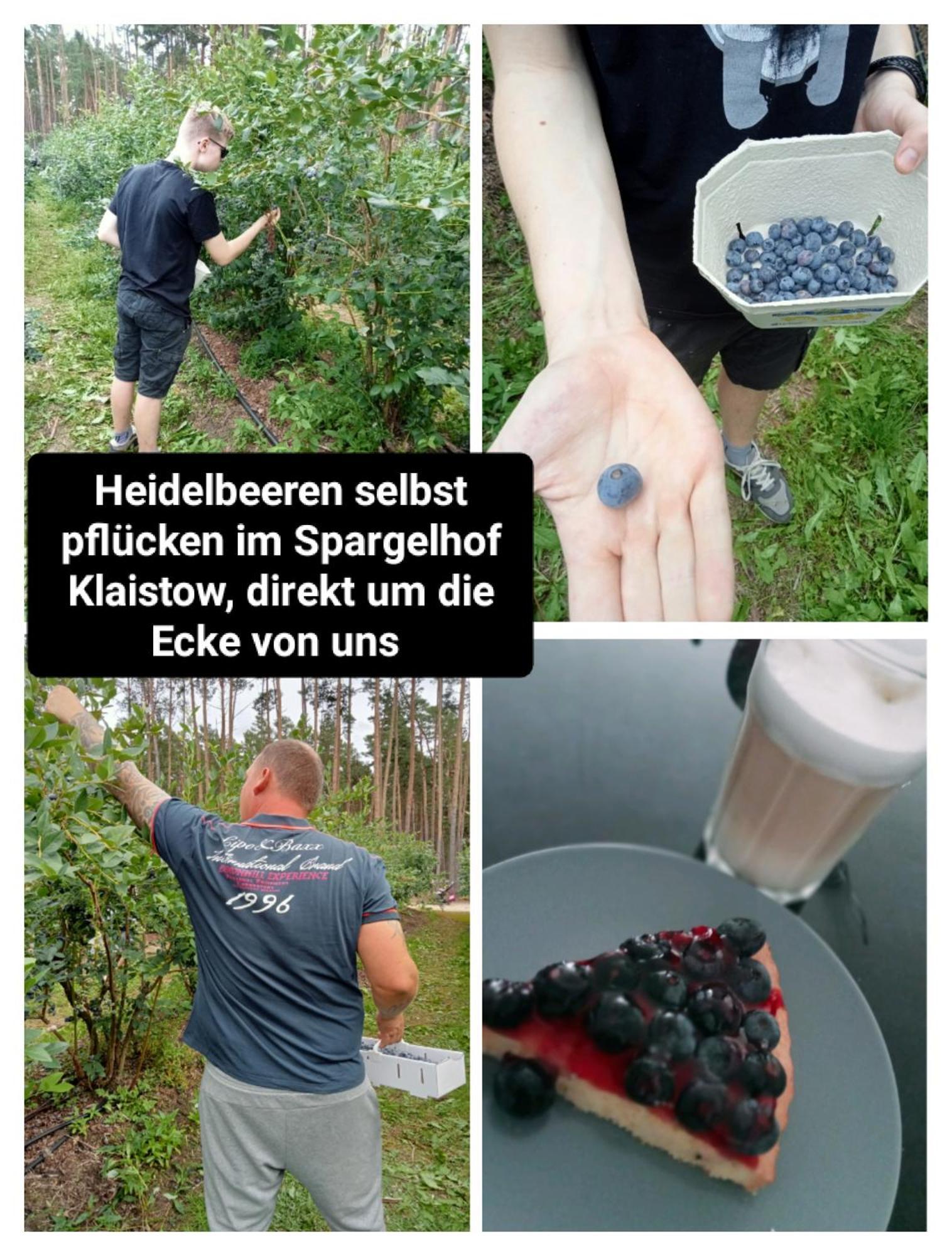 Ferienzimmer Waldzauber Borkwalde Exteriör bild